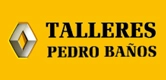logo TALLERES PEDRO BAÑOS S.L. - RENAULT BRUNETE