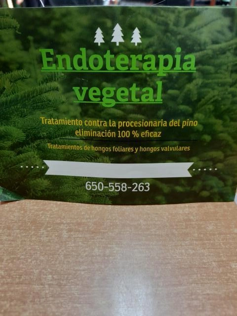 CONSULTAR