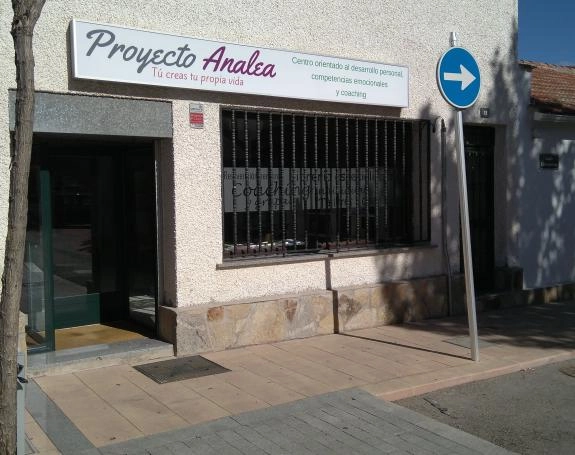 PROYECTO ANALEA