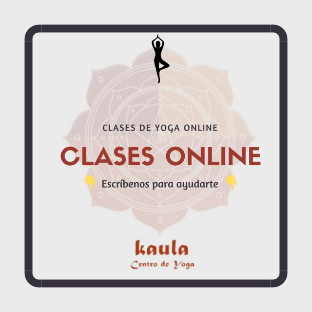 Desde 5€ la clase