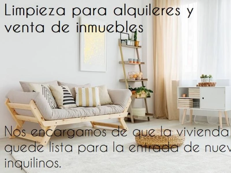 Empleadas de hogar, servicios de limpieza...