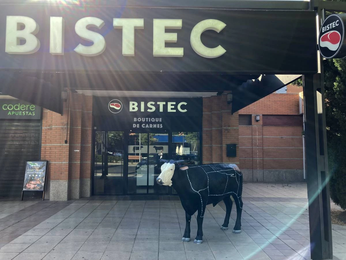 BISTEC BOADILLA