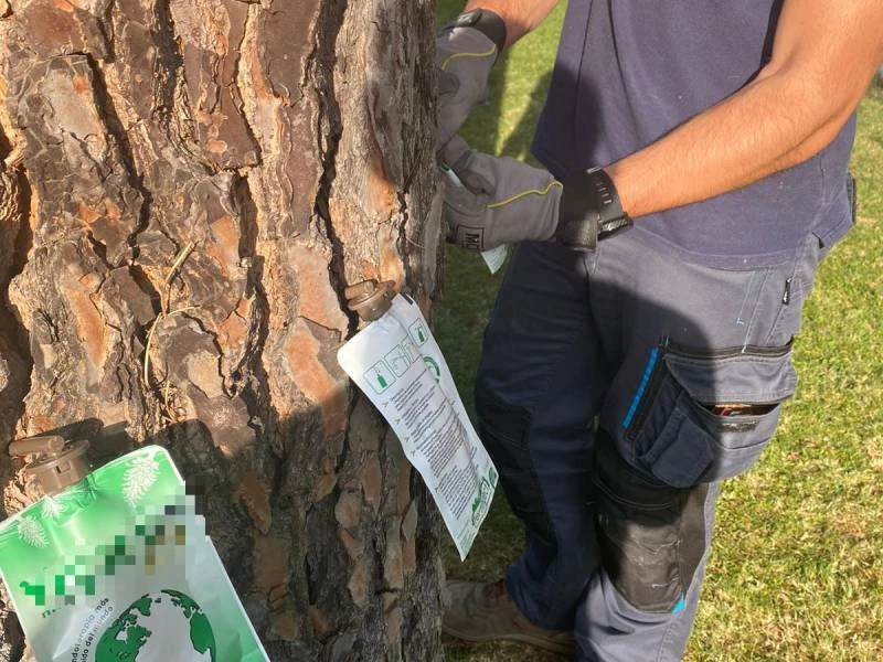 Servicios de jardineria