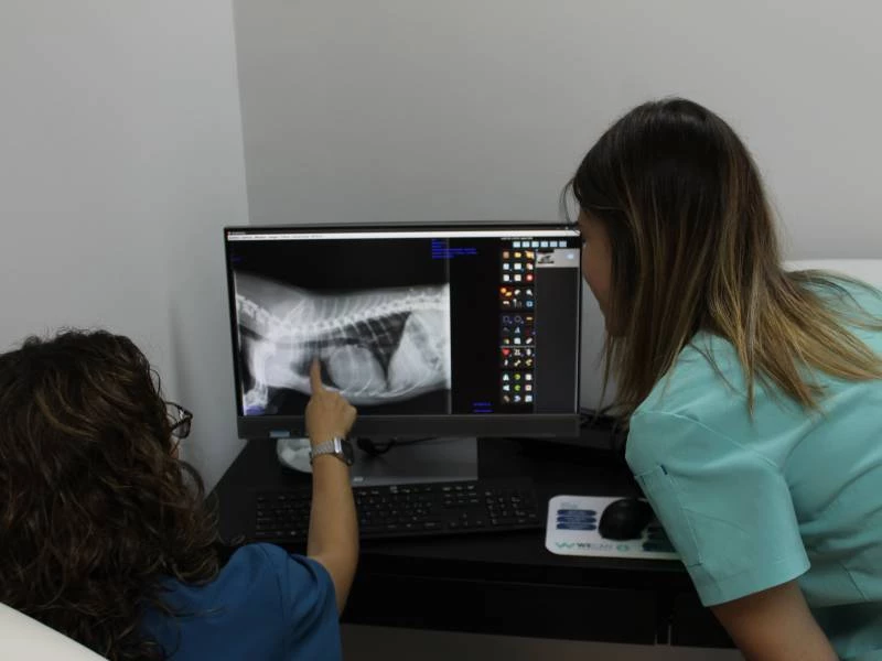 Servicios veterinarios Wecan Integra