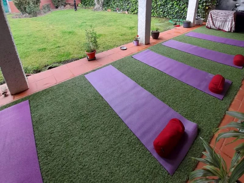 Meditación, reiki y kinesiología en Las Rozas
