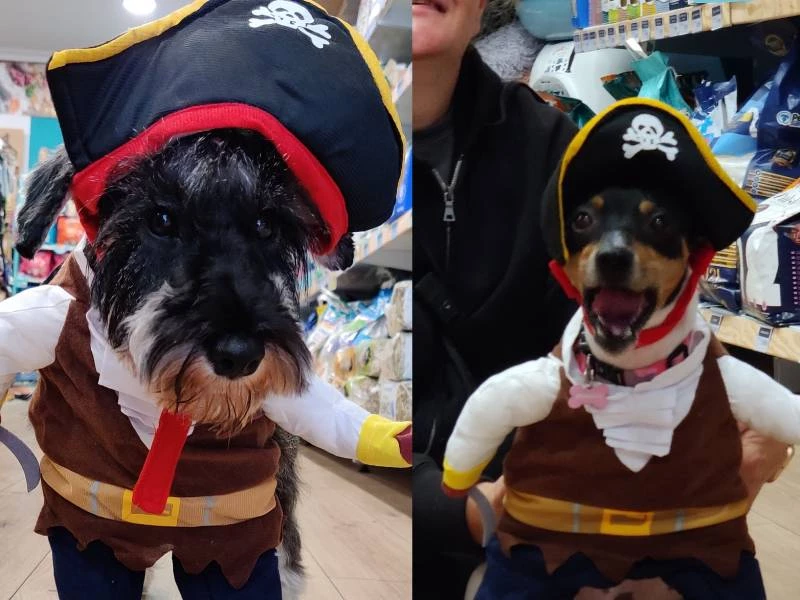 Ropa y utensilios para tu mascota