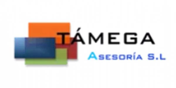 logo ASESORIA TAMEGA 