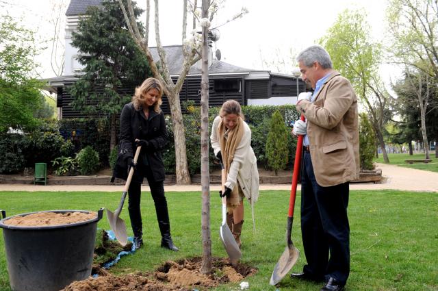 El Ayuntamiento de Pozuelo continúa con su Plan de Reforestación en el municipio