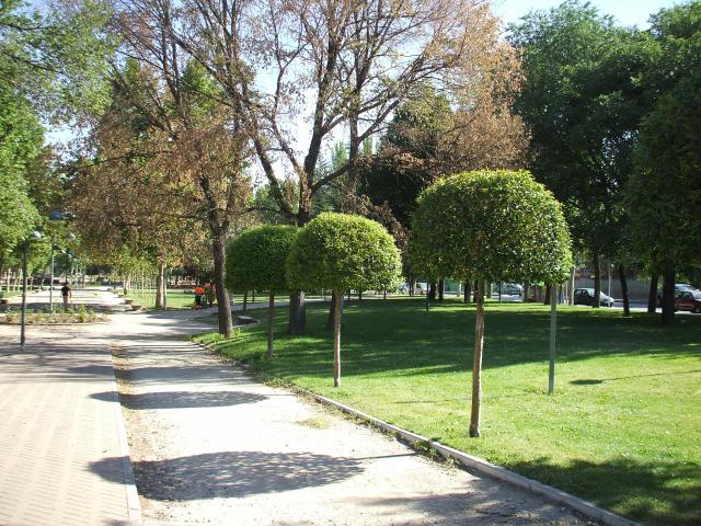 Izquierda Unida Los Verdes propone que se aplique la Jardinería Saludable en Pozuelo