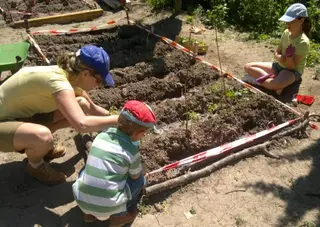 Los escolares plantan semillas de pino y fresno en el Día Mundial del Medio Ambiente