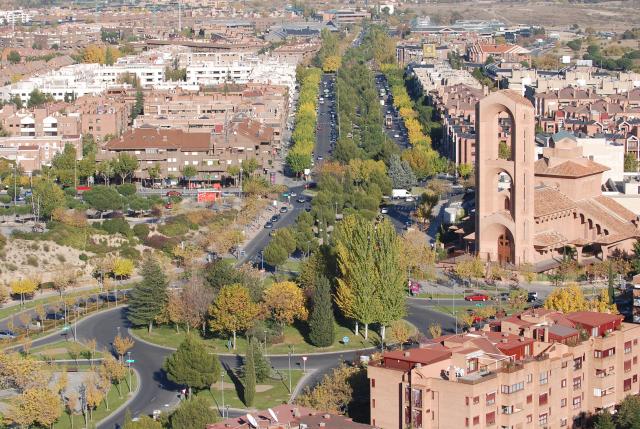 El Ayuntamiento pone en marcha la campaña para prevenir las bolsas de orugas en los pinos