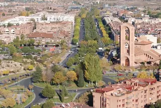 El Ayuntamiento pone en marcha la campaña para prevenir las bolsas de orugas en los pinos
