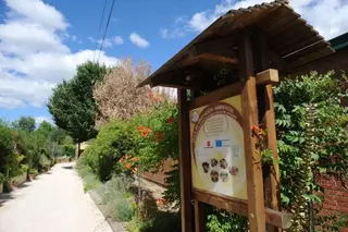 El Ayuntamiento de Pozuelo recibe una distinción por sus políticas de sensibilización medioambiental