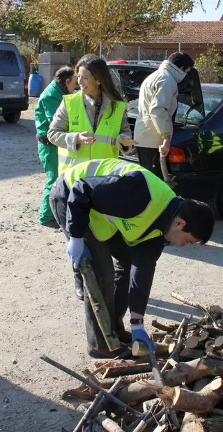 El Ayuntamiento entregará a los vecinos la leña procedente de la poda del arbolado de Pozuelo