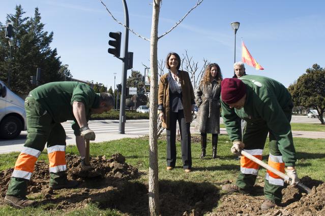 El Ayuntamiento de Pozuelo reforesta el municipio con más de 20.000 arbustos y árboles