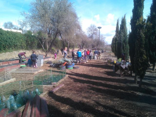 El Aula de Educación Ambiental amplía a dos domingos los días para participar en los “Huertos en Familia”