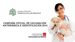 Del 2 al 9 de junio, Campaña de Vacunación e identificación de animales domésticos en Pozuelo de Alarcón