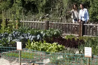 El Ayuntamiento celebra el Día Mundial del Medio Ambiente con una jornada de actividades en el Aula de Educación Ambiental