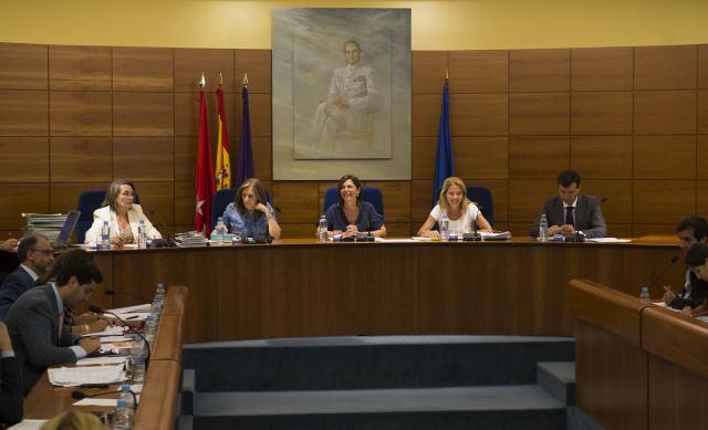 El Pleno aprueba la cuenta del ejercicio 2013 con cifras saneadas y ejecución del 93%