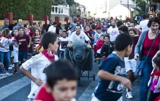 Festejos taurinos y actividades infantiles centran la programación festiva de hoy en Pozuelo