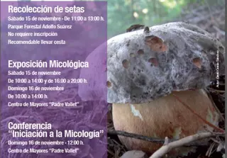 Pozuelo de Alarcón celebra este fin de semana unas jornadas micológicas