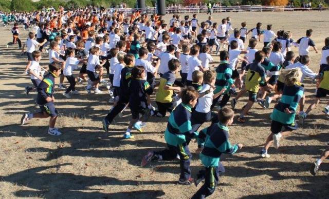 Más de 1.600 escolares han participado hoy en el “Cross del Maestro” celebrado en el Parque Forestal “Adolfo Suárez”