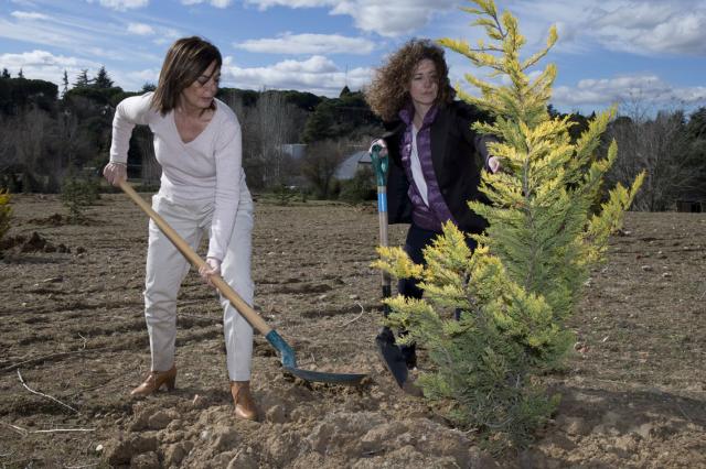 El Ayuntamiento ha reforestado 50.000 metros cuadrados de nuevos parques y zonas verdes públicas en los últimos cuatro años