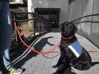 Arranca un nuevo taller de terapia con animales para personas con enfermedad mental en el Espacio para el Ocio Pozuelo