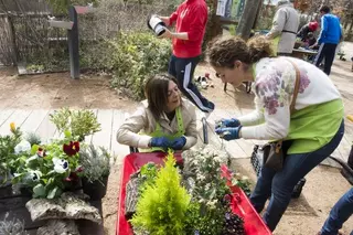 El Ayuntamiento organiza un programa de actividades para disfrutar en familia del Aula de Educación Ambiental