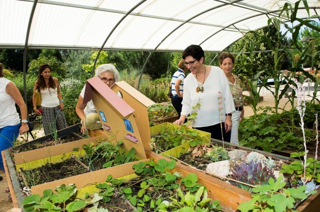 Pozuelo cuenta con un servicio de “Hospital de Plantas” donde los vecinos pueden dejarlas en verano y aprender a cuidarlas
