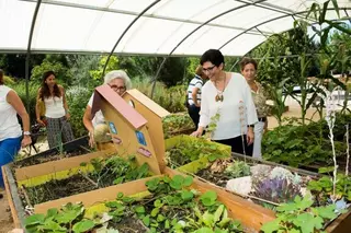 Pozuelo cuenta con un servicio de “Hospital de Plantas” donde los vecinos pueden dejarlas en verano y aprender a cuidarlas