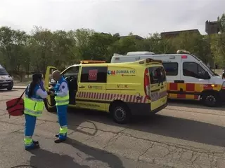 16 escolares atendidos por picaduras de avispas en Somosaguas