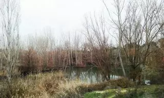 Somos Pozuelo llevará al Pleno la lucha por el corredor ecológico