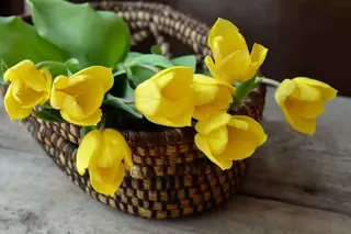 Peña Las Domingas celebrará el Día de la Mujer con poemas y flores para las pozueleras