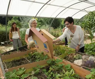 El Ayuntamiento organiza talleres sobre naturaleza los fines de semana en el Aula de Educación Ambiental