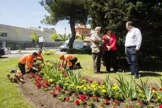 Más de 43.000 flores vestirán Pozuelo este verano