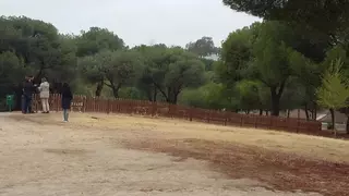 El PSOE pide más parques caninos y que Pozuelo sea una ciudad sin sacrificio de animales abandonados