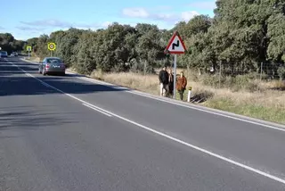 La Comunidad de Madrid realizará actuaciones de mejora en la carretera M-513