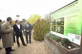 El CREAS de Pozuelo alberga el primer bosque de árboles clonados de la región
