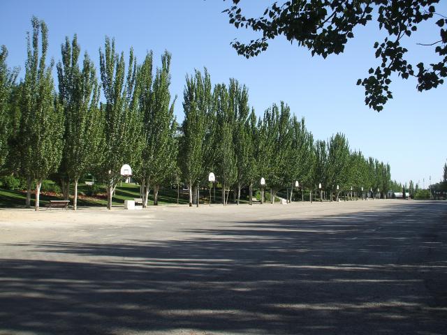 Pozuelo refuerza su compromiso con la protección de los árboles y los bosques urbanos