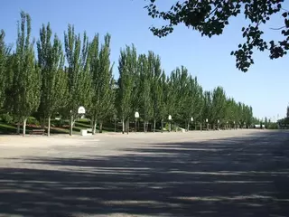 Pozuelo refuerza su compromiso con la protección de los árboles y los bosques urbanos