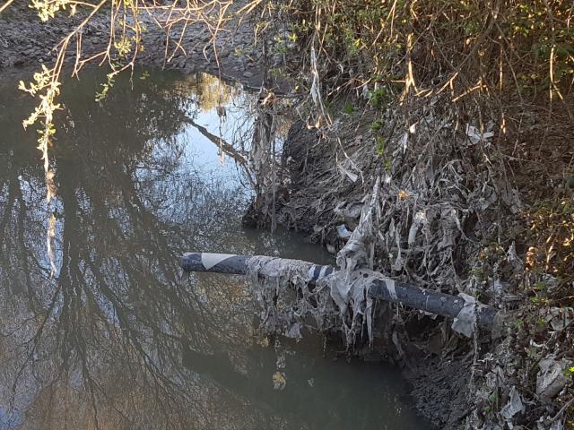 Somos Pozuelo denuncia el "crimen ambiental" en el Arroyo Vallelargo