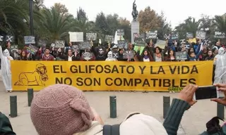 Perpinyà: “Pedimos al Gobierno que deje de utilizar glifosato en Pozuelo"