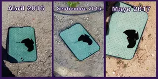 Somos Pozuelo exige soluciones en el parque del Cerro de los Perdigones