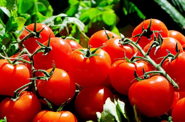 Pozuelo será el primer municipio europeo 100% vegetariano