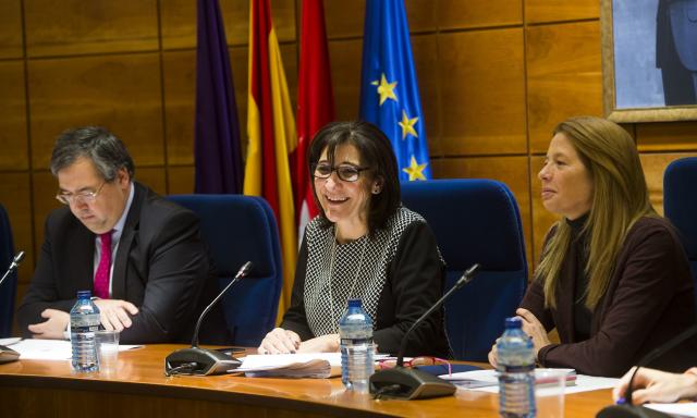 El Ayuntamiento elaborará un estudio pormenorizado de los pasos de cebra para mejorar la seguridad vial