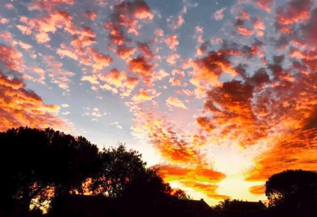 Ya podemos conocer la calidad del aire en Pozuelo en tiempo real