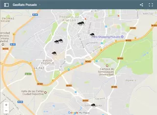 Somos Pozuelo lanza “GeoRats”, una herramienta para ayudar a los vecinos a tramitar sus quejas sobre las ratas en Pozuelo
