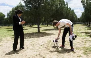 El Parque Peñalara estrena una nueva zona canina de más de dos mil metros cuadrados