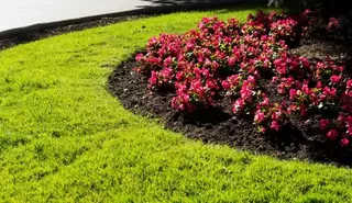 Cerca de 25.000 flores pondrán color a las calles de Pozuelo este verano